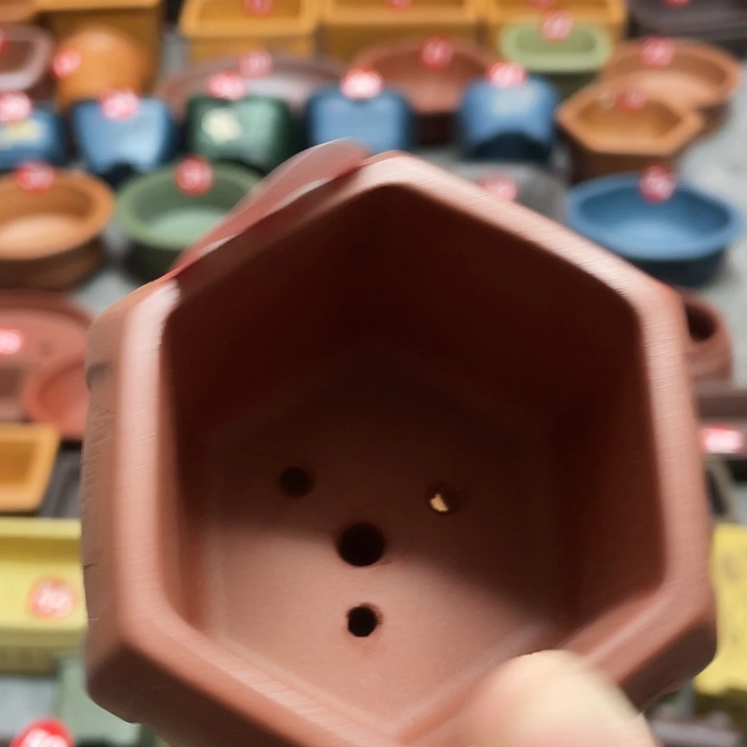 ****丁紫砂小盆6*5微瑕小盆