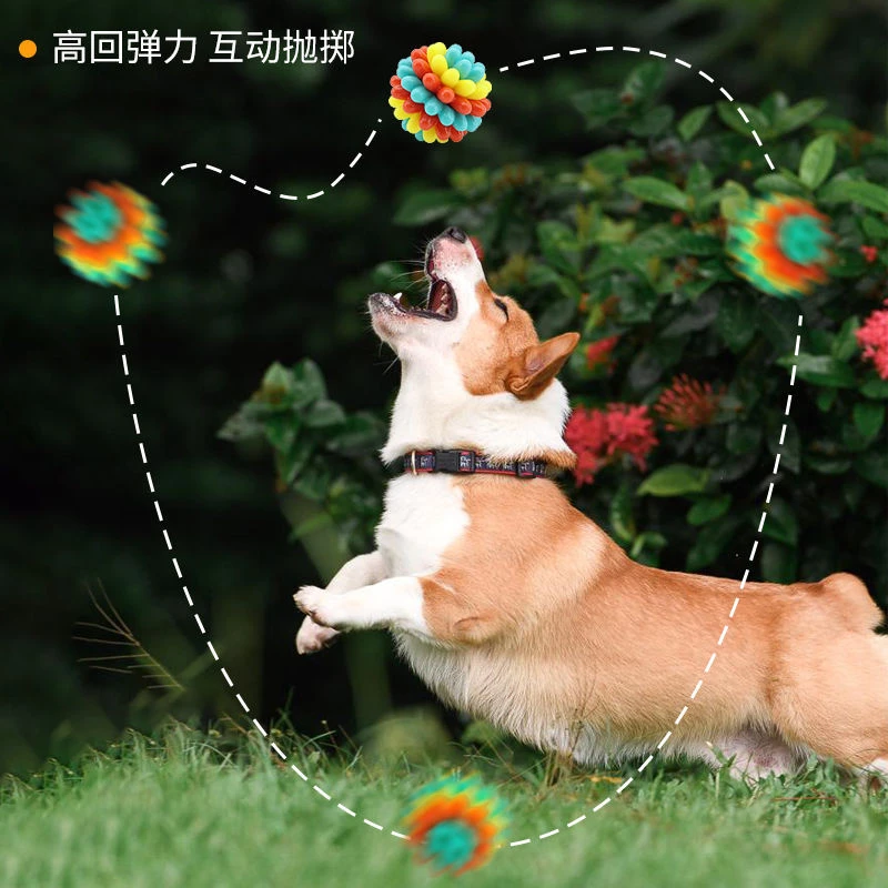 狗狗玩具球宠物磨牙拉布拉多啃咬玩具耐咬逗狗神器解闷自嗨训犬