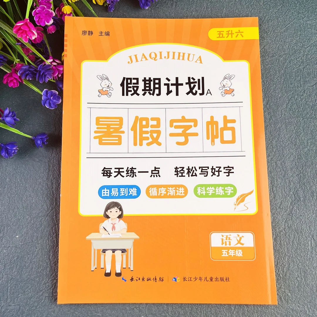 五年级暑假练字帖人教版暑假写好规范字暑假作业五升六暑假字帖