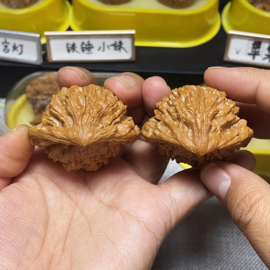 木质鹰嘴47大尺寸59900