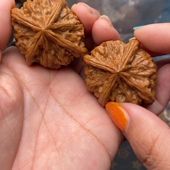 核桃四棱45尺核桃
