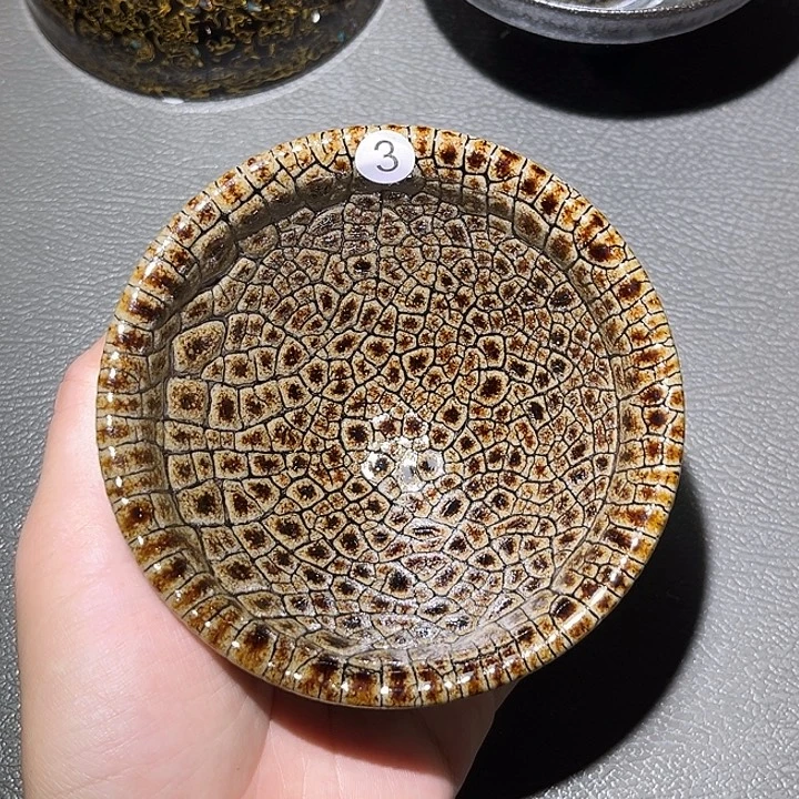 茶盏乐乐乐乐乐乐乐乐乐乐乐