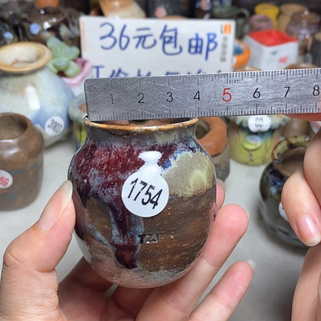 拍5送一个小礼物