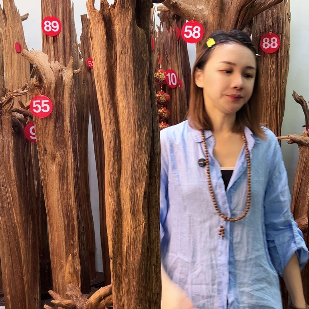 沉香摆件天然沉香原材料高品质