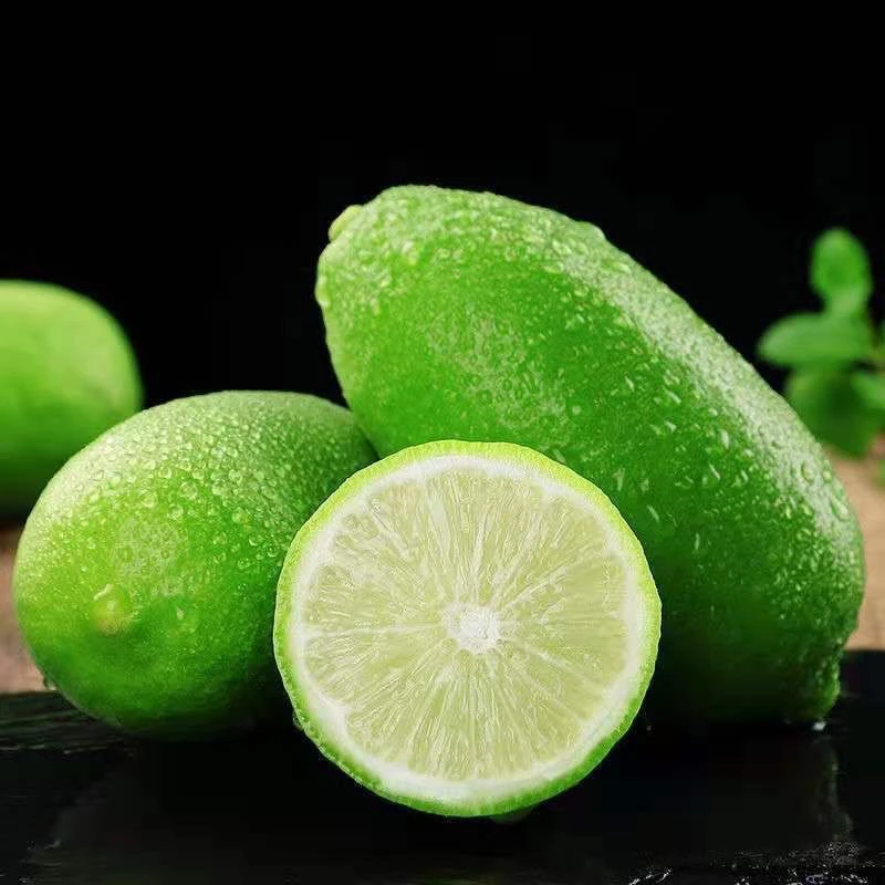 新鲜无籽香水海南柠檬奶茶鲜果整箱批发专用多汁水果商用