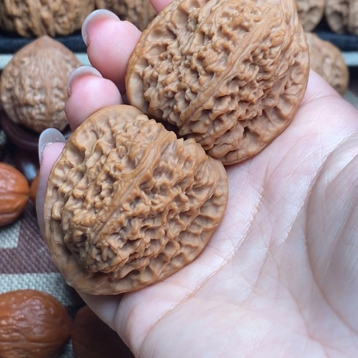 41尺南疆 有修包打底