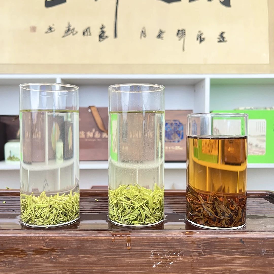 【明前茶赏鉴装】2025年新茶毛尖茶【明前小芽】【一芽一叶】【信阳红茶】
