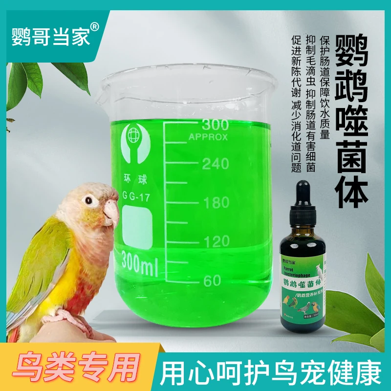 一个女孩鹦哥当家鸟用噬菌体稳定减少水细菌保健改善肠道健康