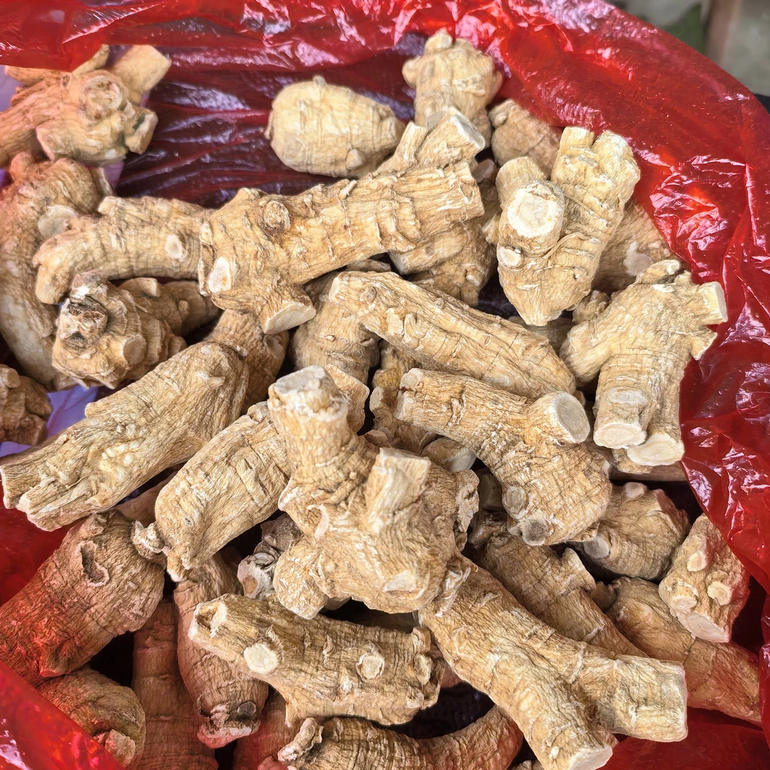 边境下山参西洋参临时链接