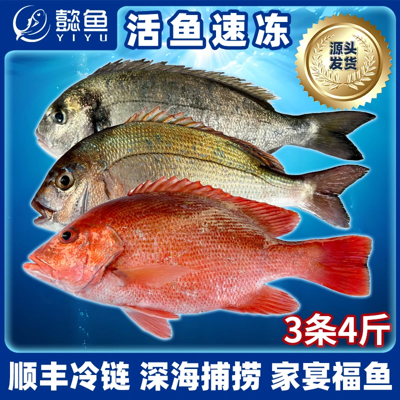 【南海真鲷鱼】供港海鲜出口夏天日料刺身鱼片高蛋白健康减脂3条4斤