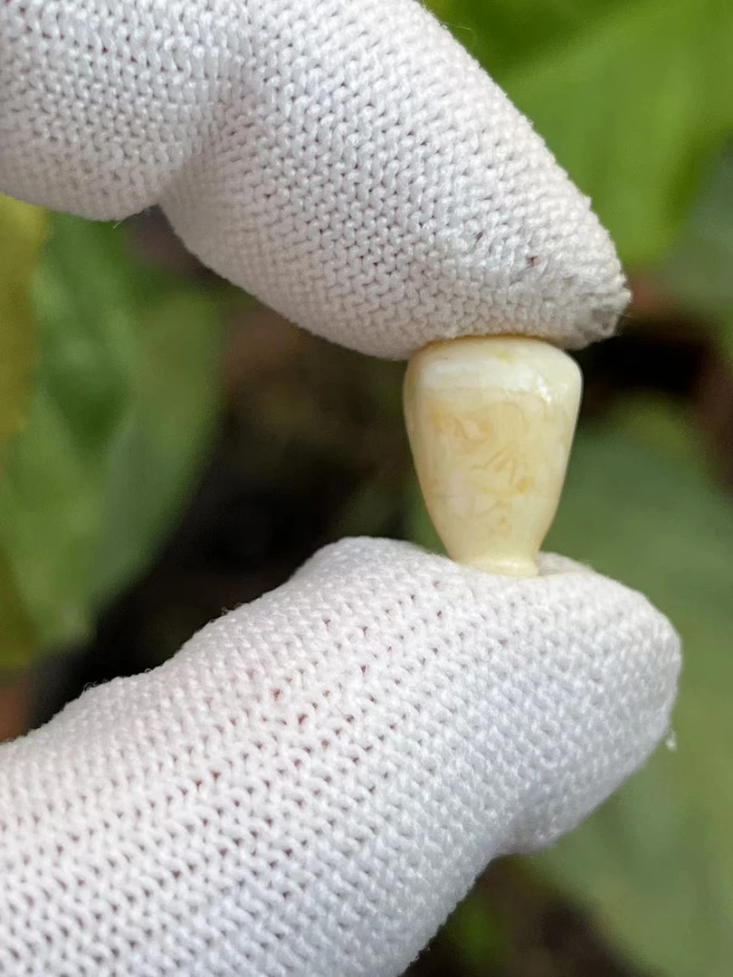 2092天然蜜蜡琥珀三通9.5x9x14.3mm