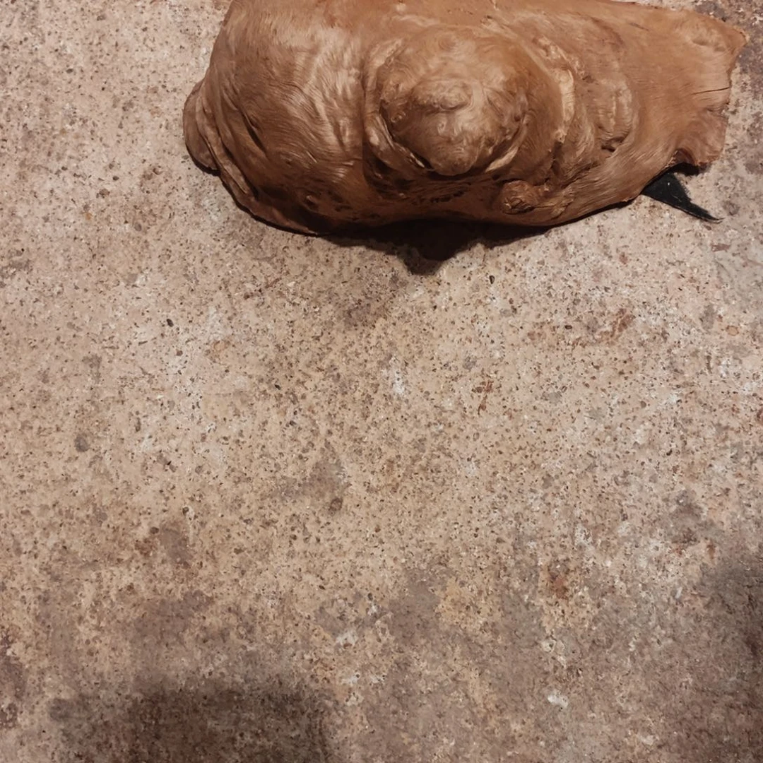 超***哥荔枝木随形木材一个