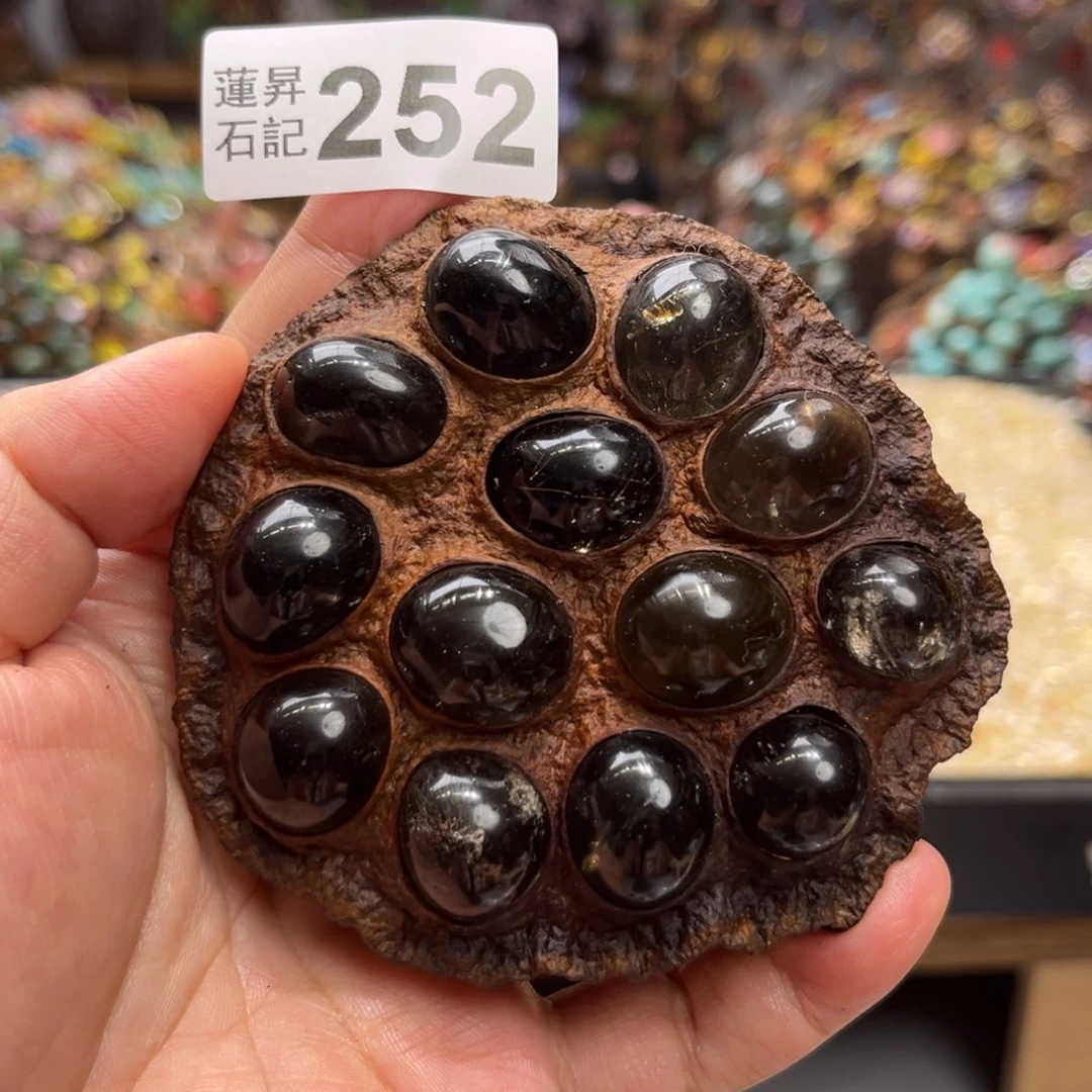 核桃木/黑胡桃（胡桃木）252卡8➕