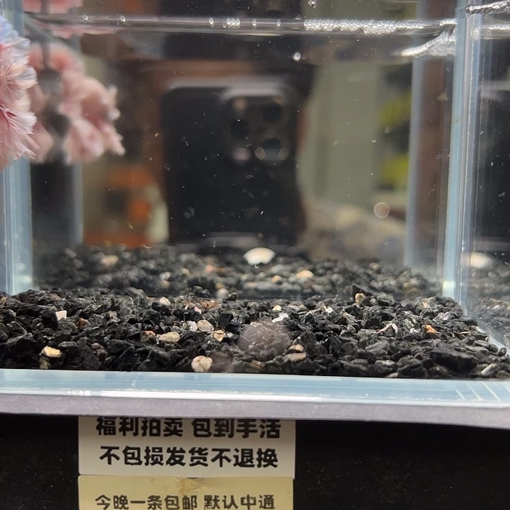 斗鱼竞拍跑单拉黑30日140
