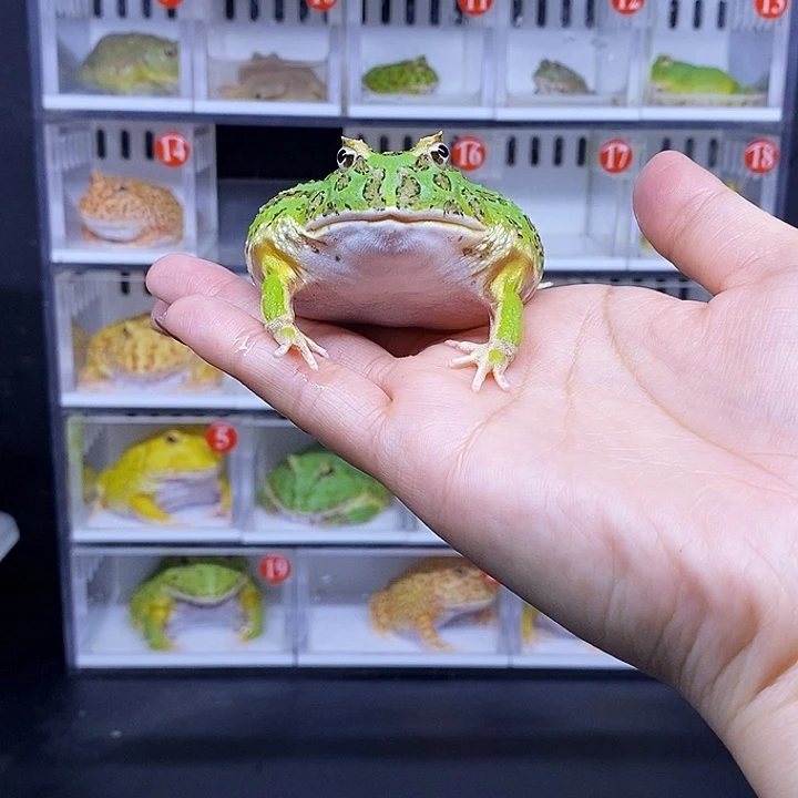 特价秒杀活动地址