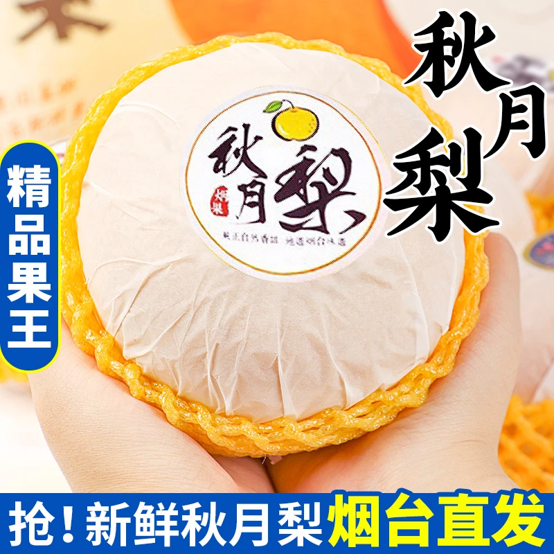 烟台秋月梨正宗莱阳梨产地直发新鲜水果现摘现发整件包邮梨子脆甜