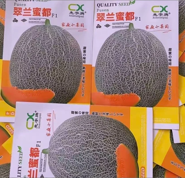 【网纹蜜瓜种子】翠兰蜜都家庭阳台小院盆栽地栽四季种植