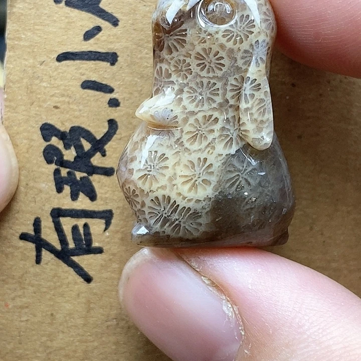 颈饰未镶嵌硅化珊瑚（珊瑚玉）