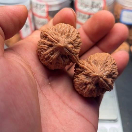 把件文玩核桃蒜头