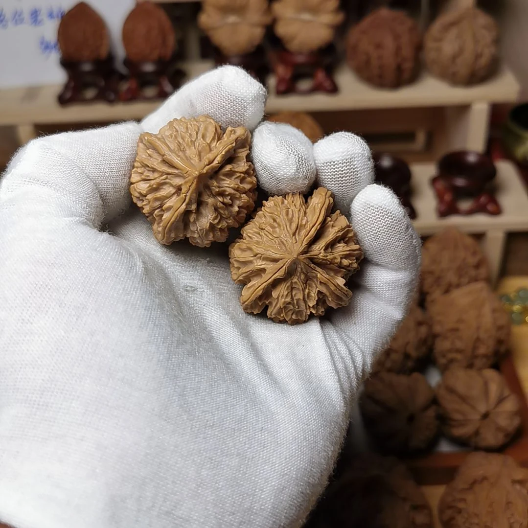 核桃文玩核桃高端小众文山三棱全品练手对