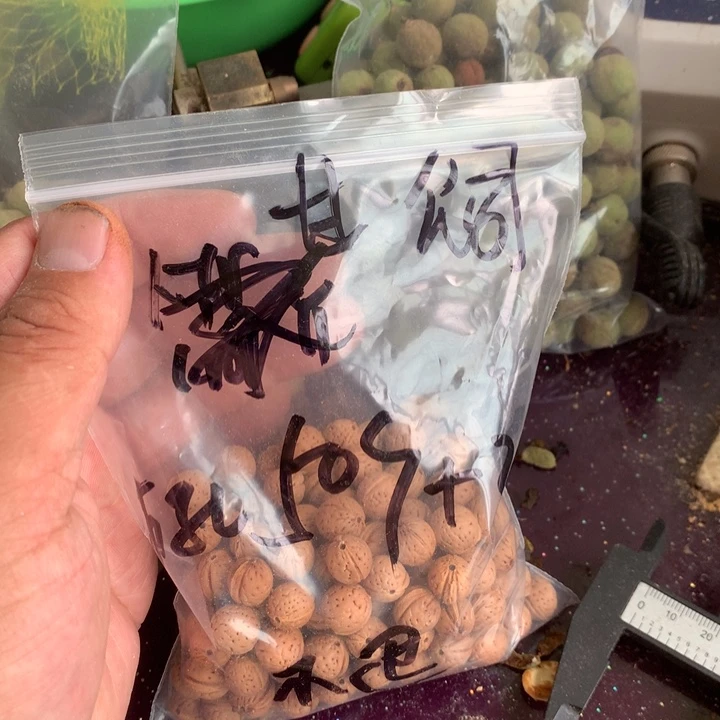 甘***司桃核吊坠野生精品小核桃散籽