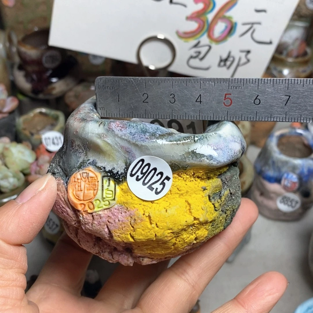 花盆拍1送一个小礼物