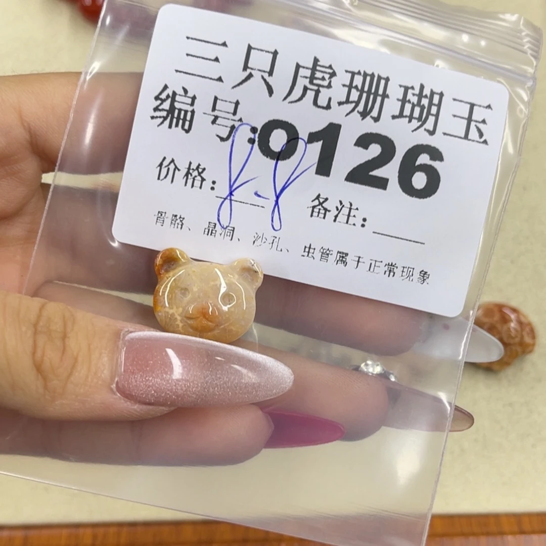 S***s硅化珊瑚（珊瑚玉）h未镶嵌