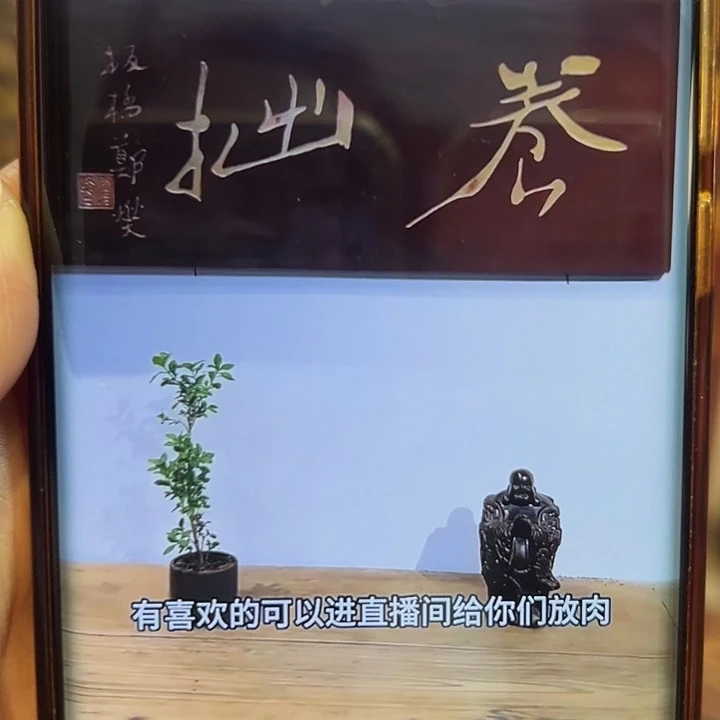 泊***园家具乌木类养拙不退不换