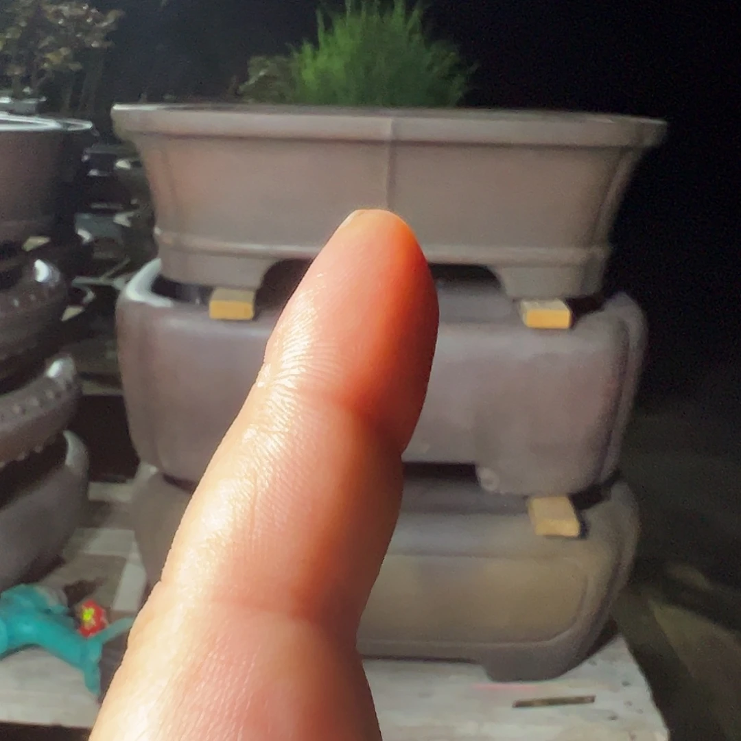 随***位花盆紫砂5786799789977888