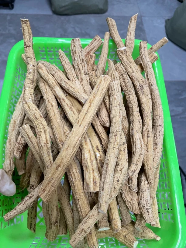 天然晾晒干粉质牛大力整干货