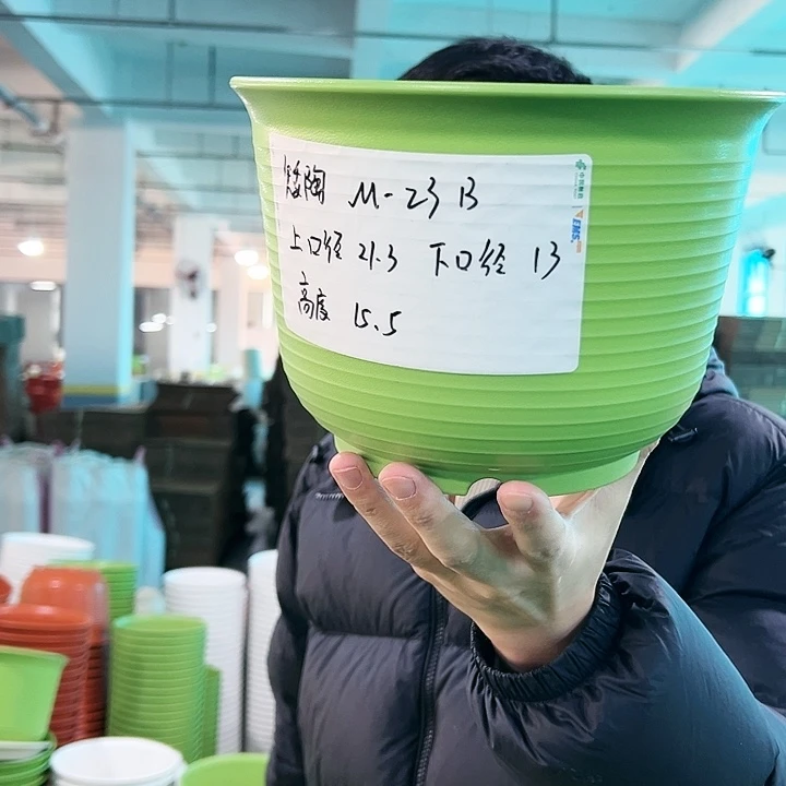 正品矮陶口21高15果绿无托8只