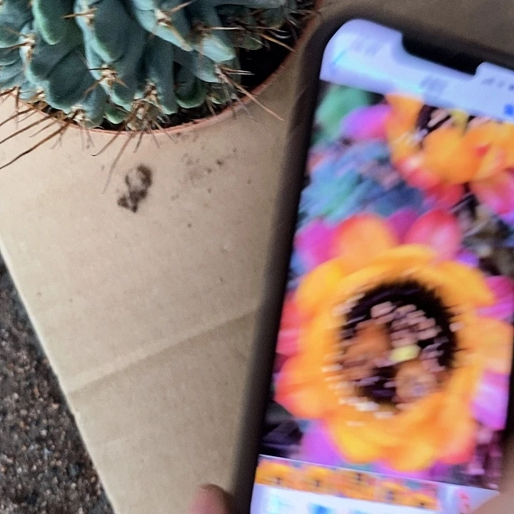 复色黑猴，，13.99，257899