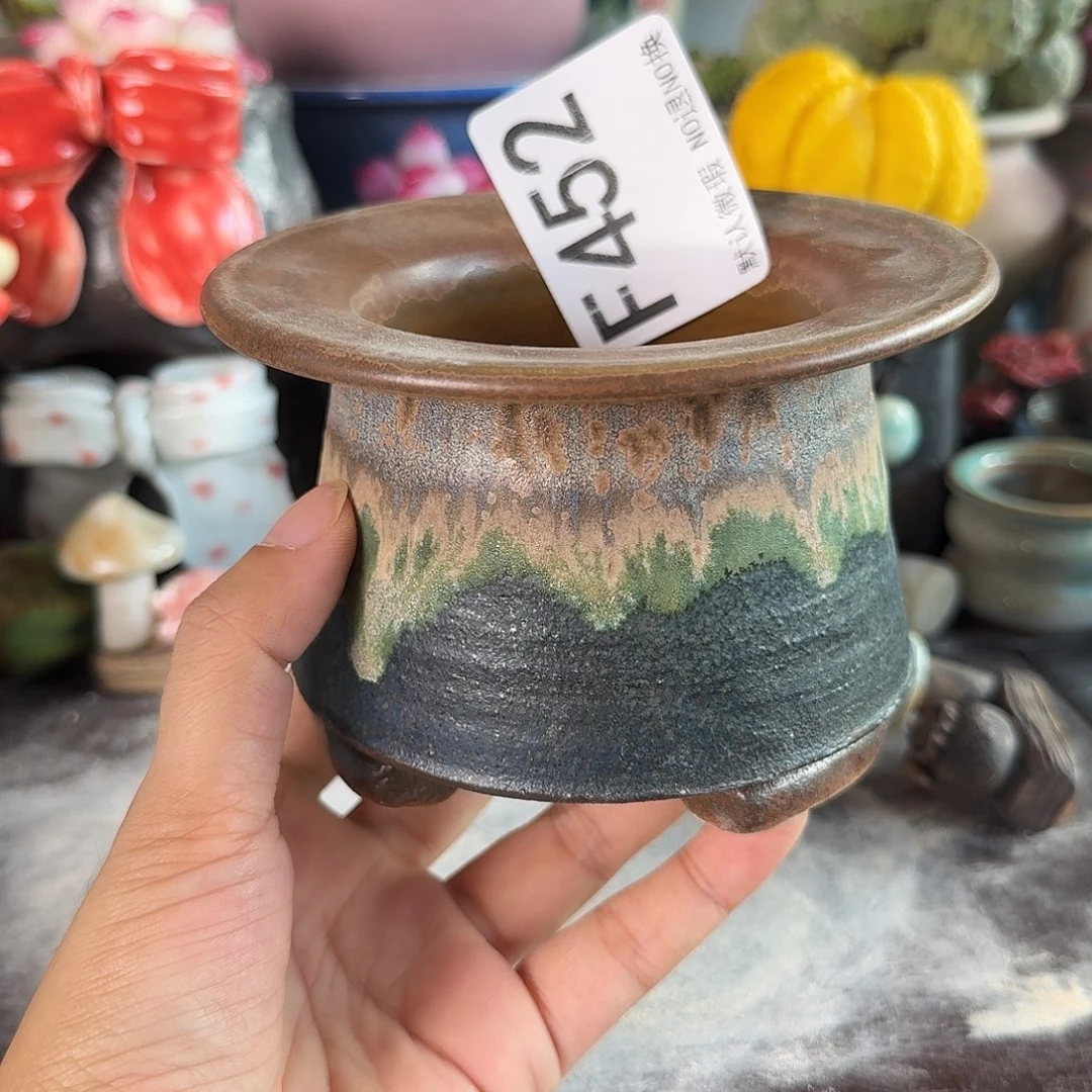 重庆小燕子欢迎大家452