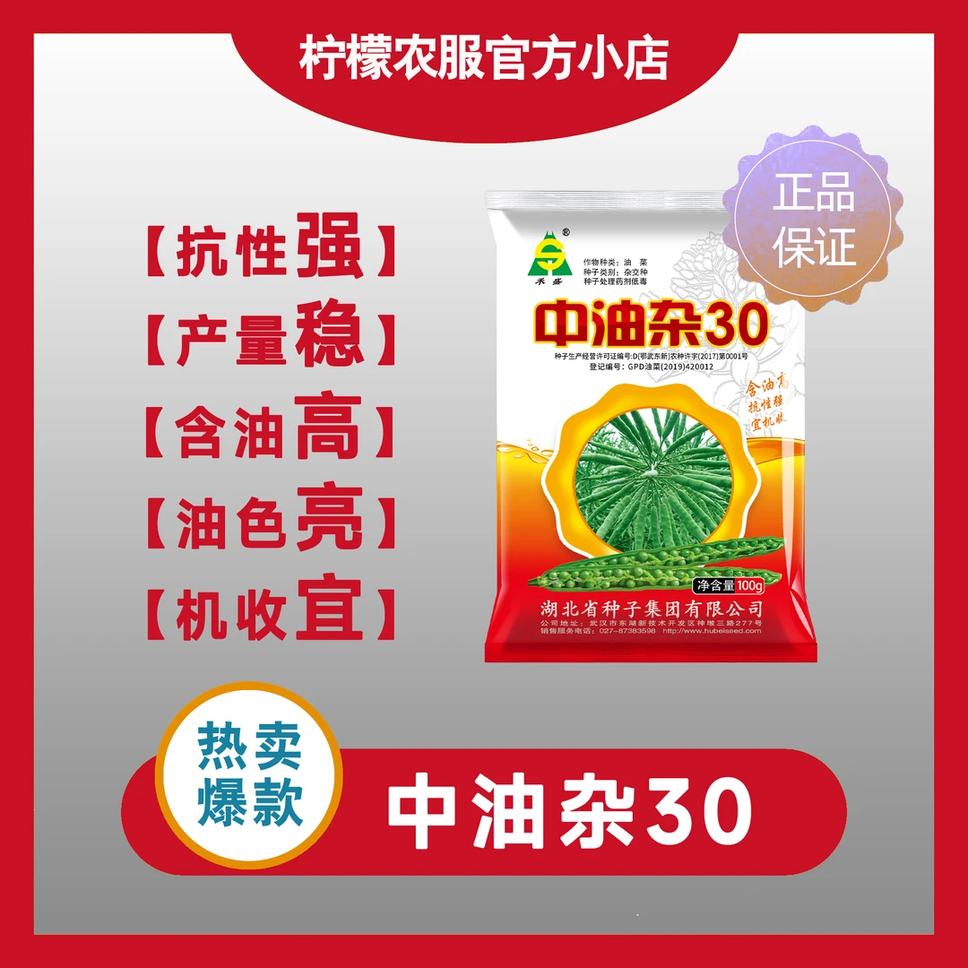 中油杂 30 甘蓝型半冬性化学诱导雄性不育两系杂交油菜品种