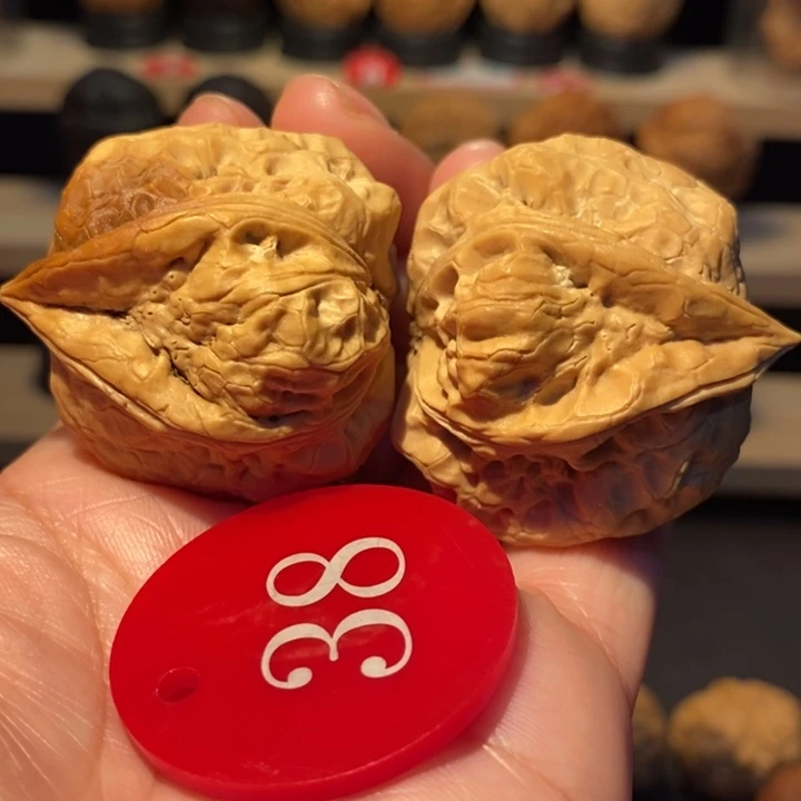 木质类七彩生命元39尺寸