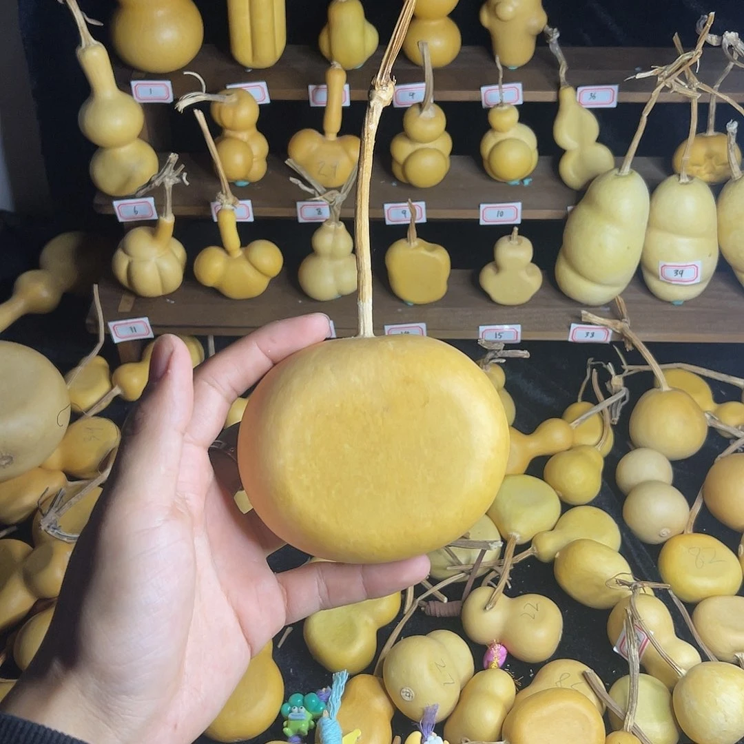 甜***儿大苹果扁一物一拍