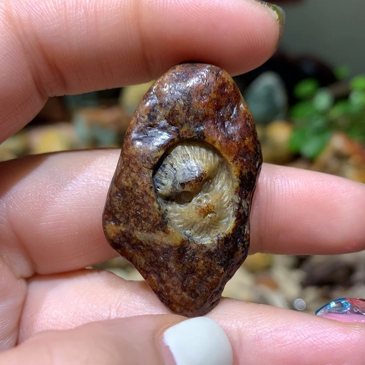 岫岩河磨玉（透闪石质玉）挂件未镶嵌