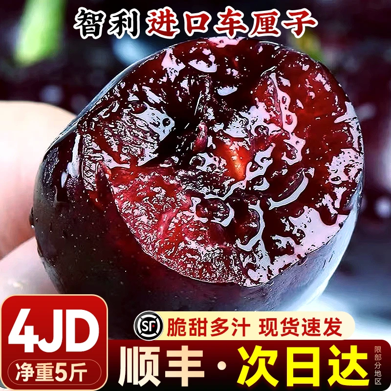 智利车厘子新鲜水果5斤桑提娜礼盒内附果径卡顺丰空运进口4j樱桃