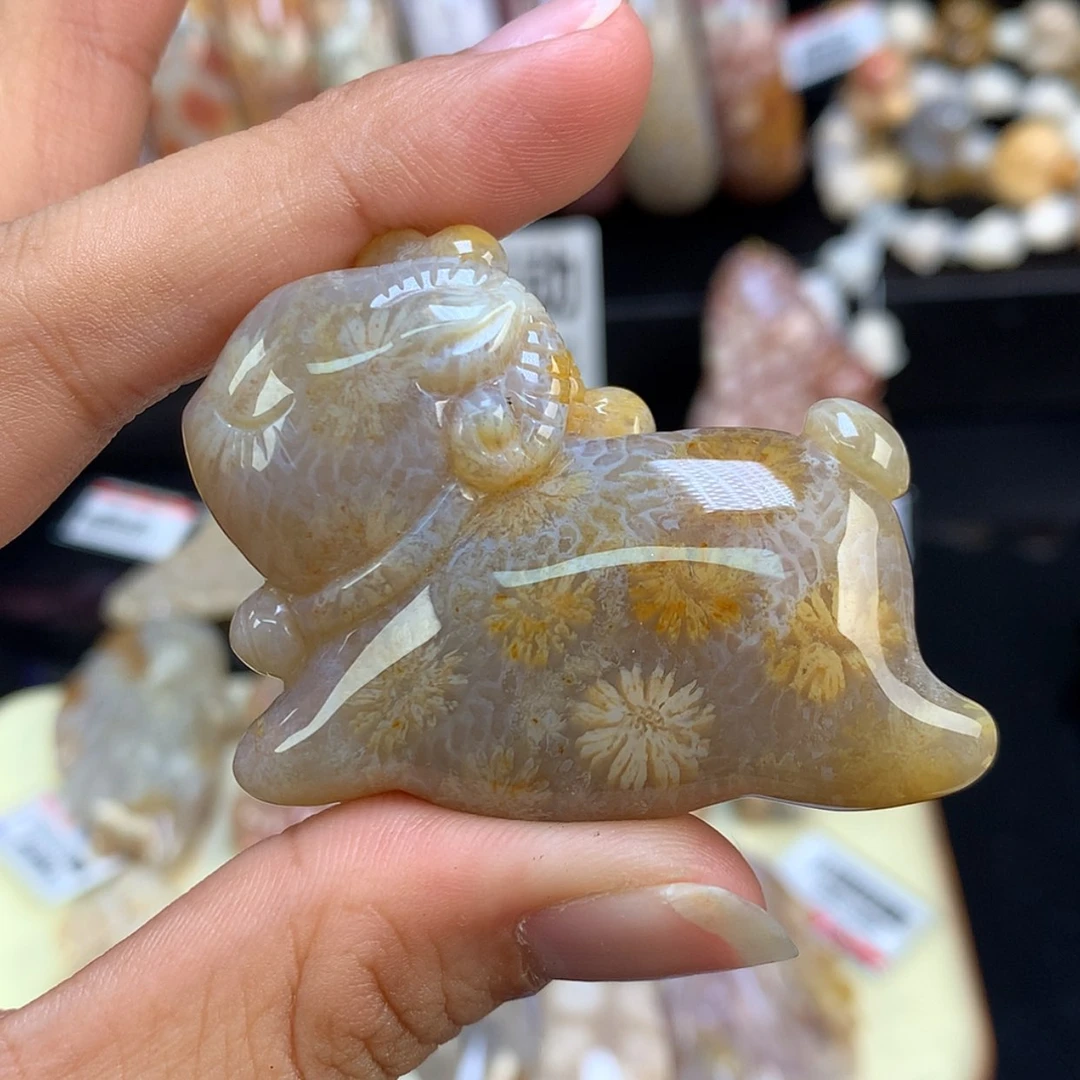 【闪购商品】颈饰未镶嵌硅化珊瑚（珊瑚玉）49号羊