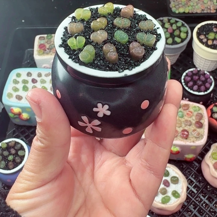 879零下地区记得拍保温箱满18包邮