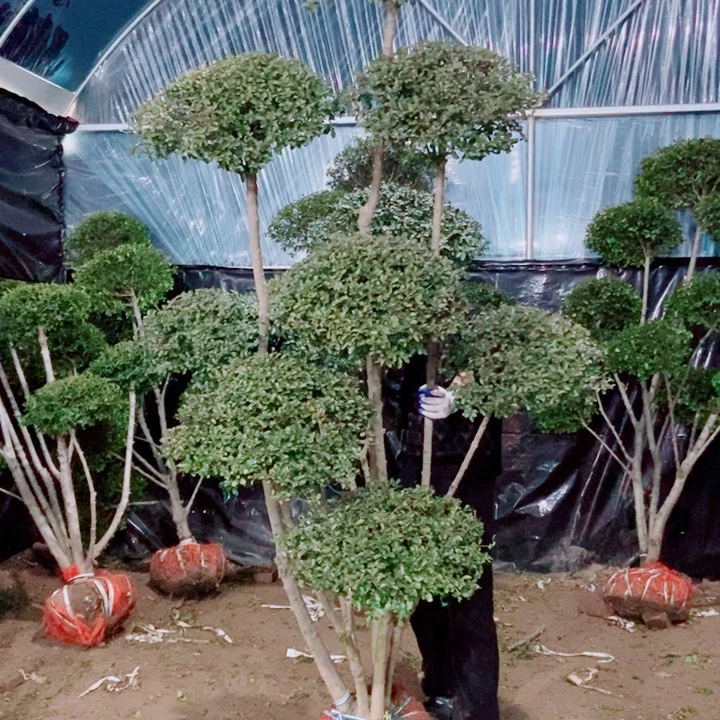 涛**旧一物一拍一物一拍