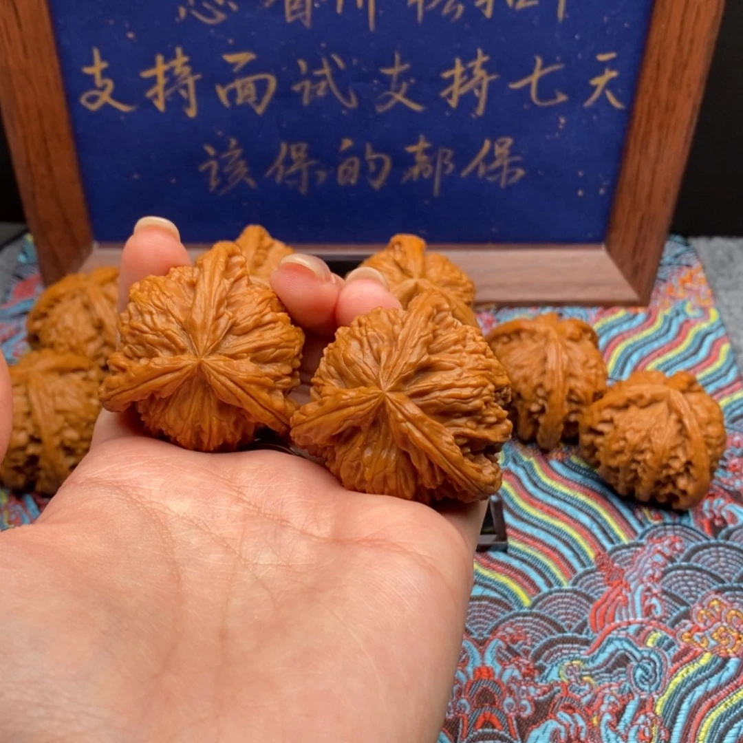 【闪购商品】依**静白狮