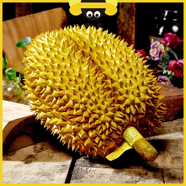 【包五房】泰国金枕鲜榴莲 核小 干包黄肉 A果 （4斤-5斤）一果一拍榴莲同城配金枕泰国