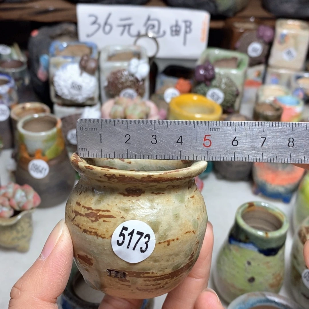 拍5送一个小礼物