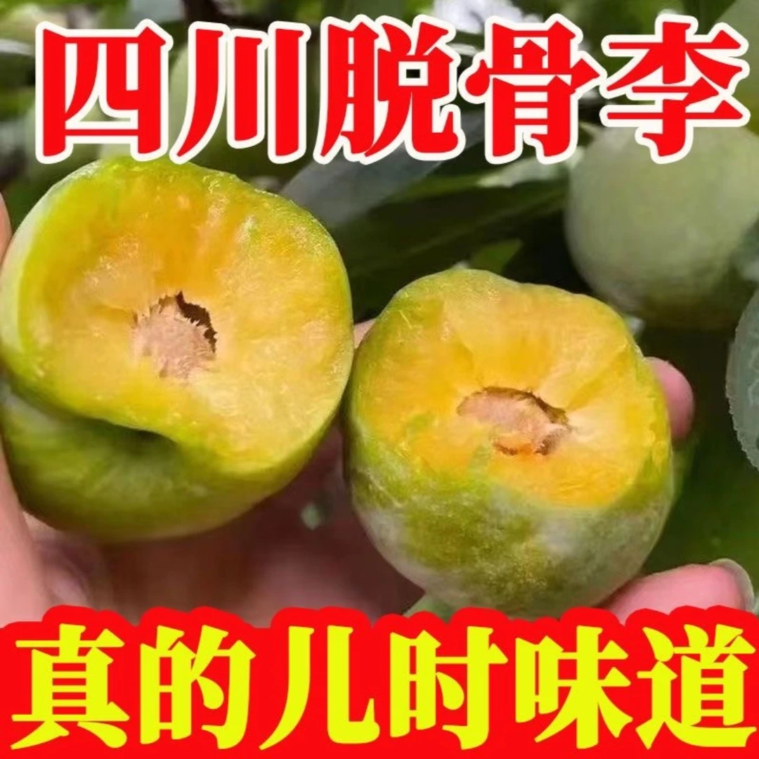 正宗四川脱骨青脆李新鲜酸甜时令水果儿时味道