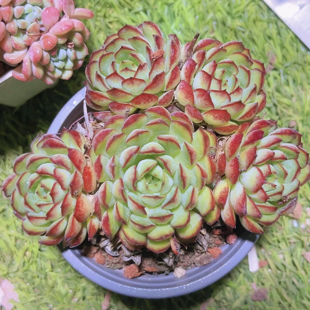 166号887788888888888888