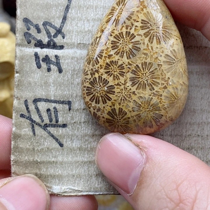 颈饰未镶嵌硅化珊瑚（珊瑚玉）云**松