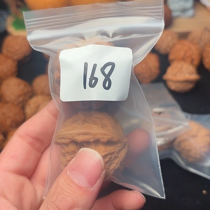 日***里文玩核桃把件45 尺  大粗筋  168