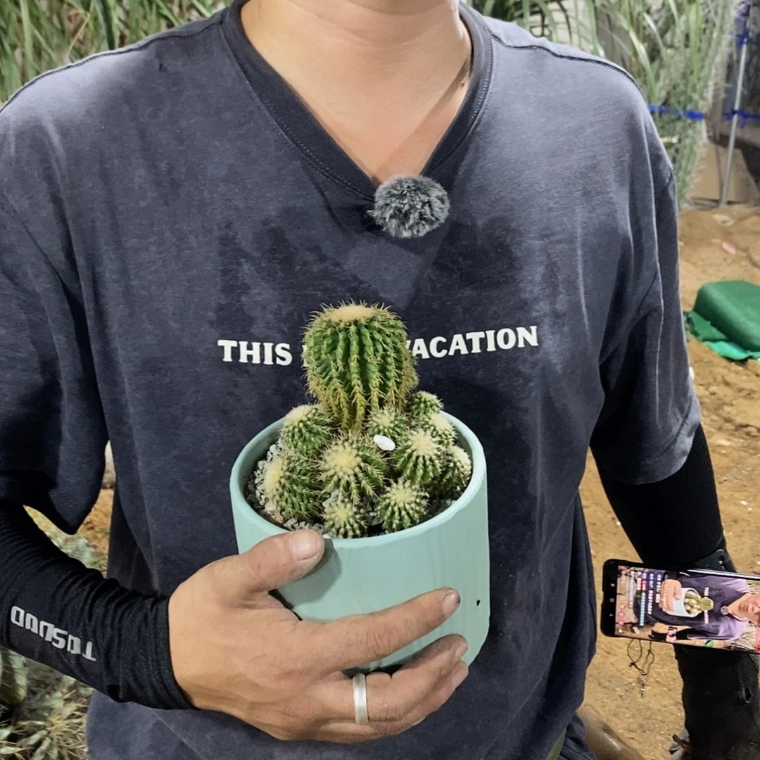 一物一拍金虎拳。