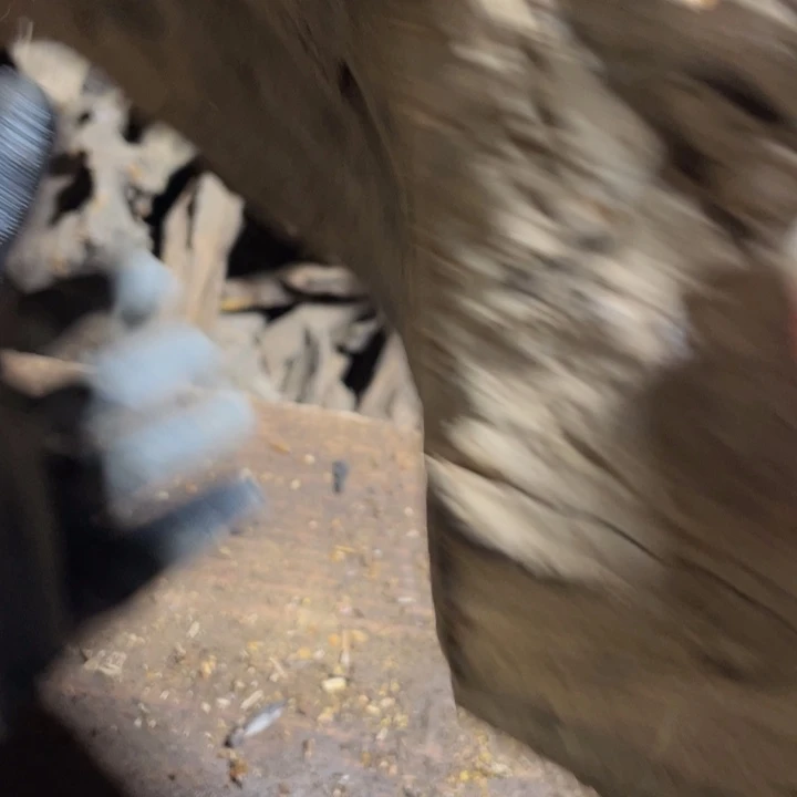 清***在贡木把件感谢大家